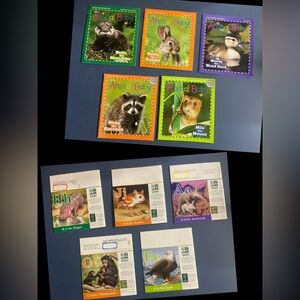 Animal Education Mini Books for Young Readers